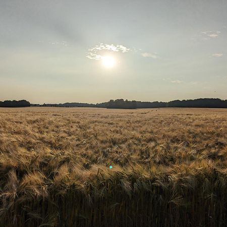 Apartmán Taubennest Waabs Exteriér fotografie