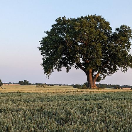 Apartmán Taubennest Waabs Exteriér fotografie