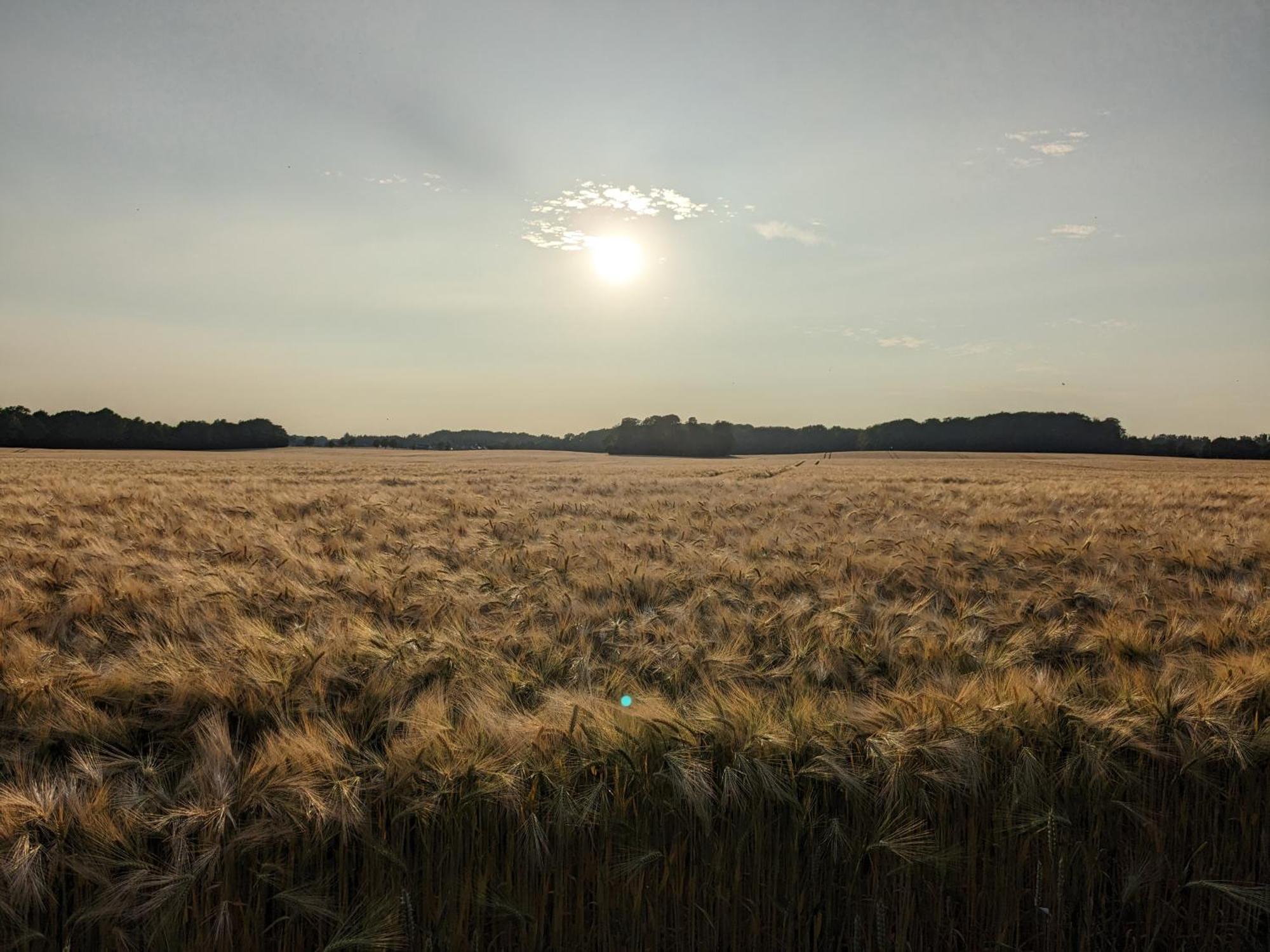 Apartmán Taubennest Waabs Exteriér fotografie